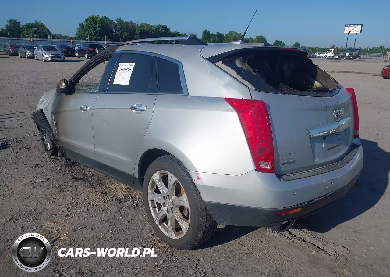 2010 Cadillac Srx Performance Collection VIN:3GYFNBEY7AS508959 - 3