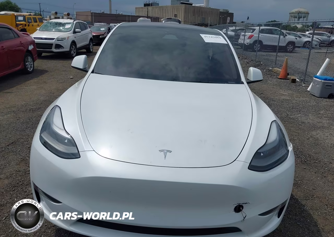 2024 Tesla Model Y Performance Dual Motor All-Wheel Drive VIN:7SAYGDEF3RA268560 - 10