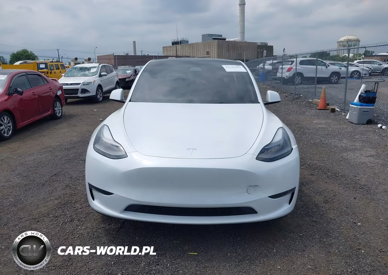 2024 Tesla Model Y Performance Dual Motor All-Wheel Drive VIN:7SAYGDEF3RA268560 - 12