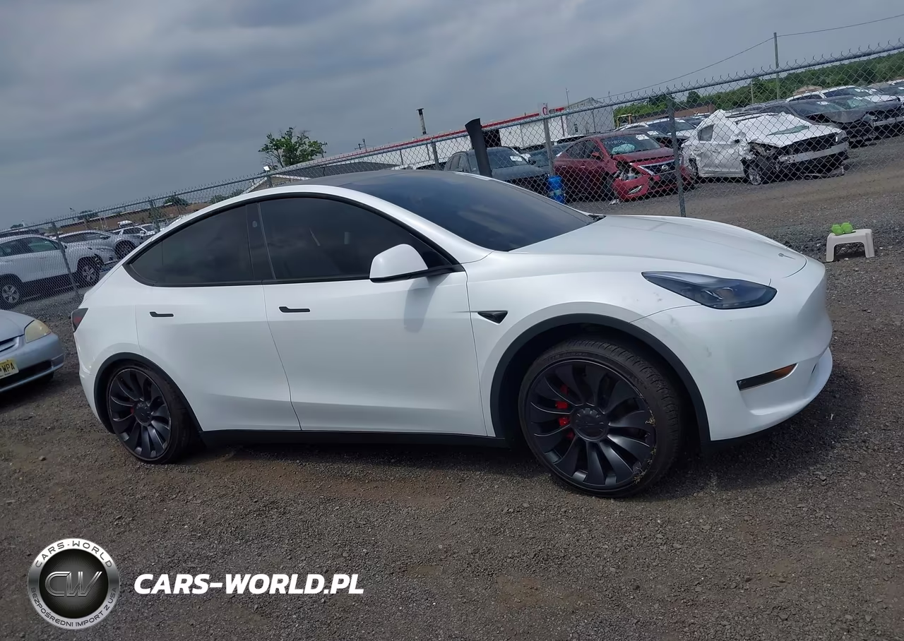 2024 Tesla Model Y Performance Dual Motor All-Wheel Drive VIN:7SAYGDEF3RA268560 - 13