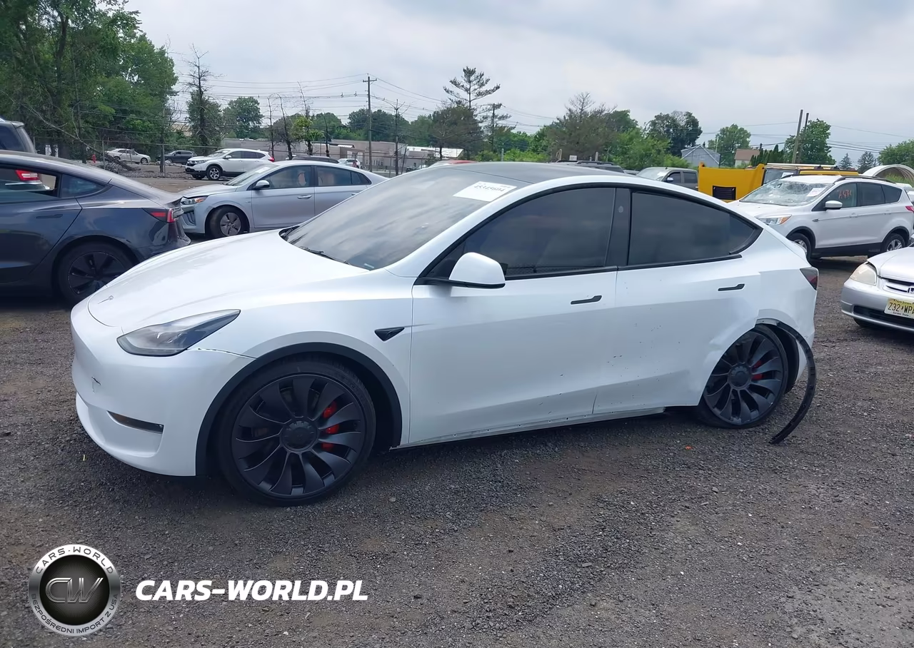2024 Tesla Model Y Performance Dual Motor All-Wheel Drive VIN:7SAYGDEF3RA268560 - 14