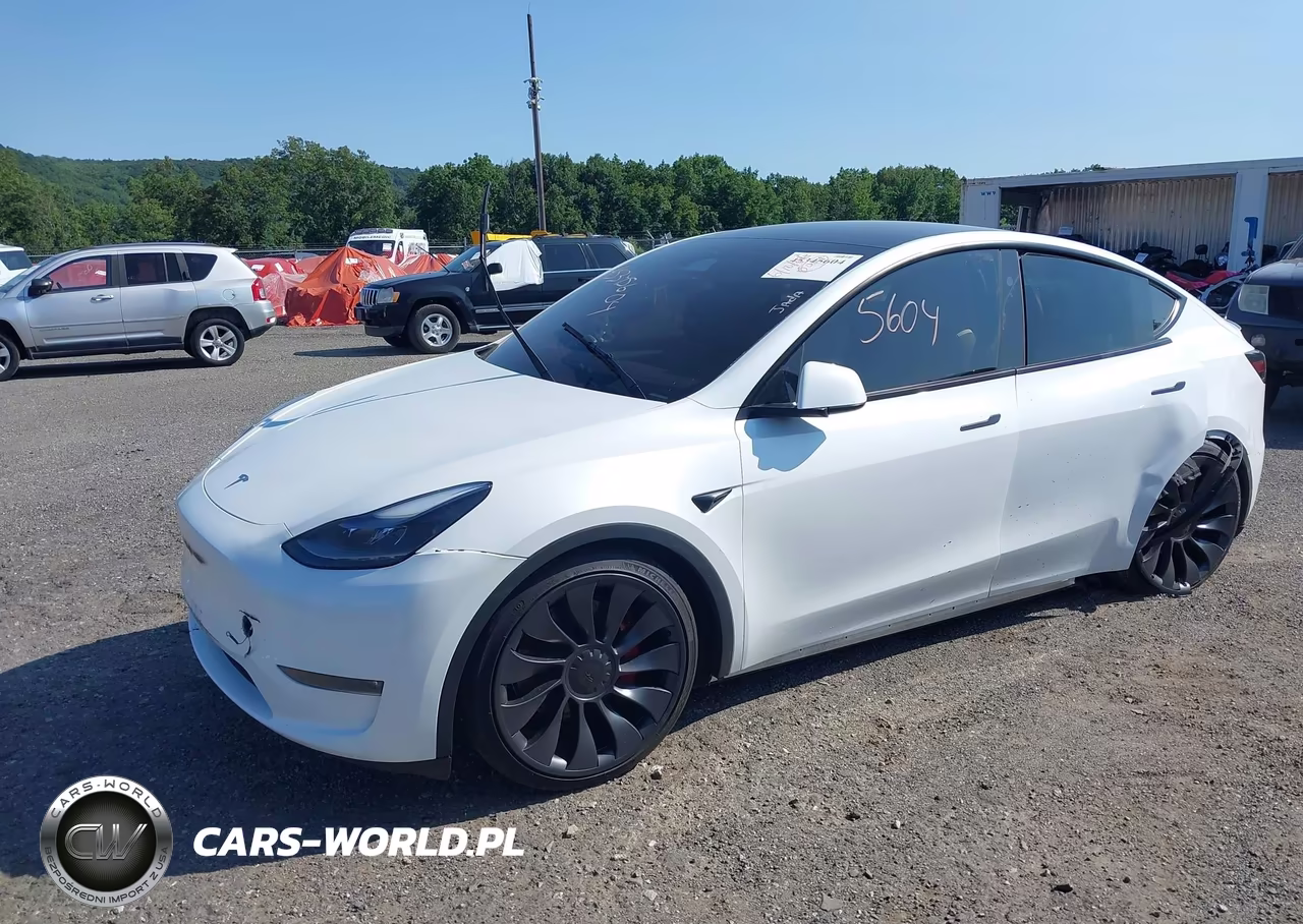 2024 Tesla Model Y Performance Dual Motor All-Wheel Drive VIN:7SAYGDEF3RA268560 - 2