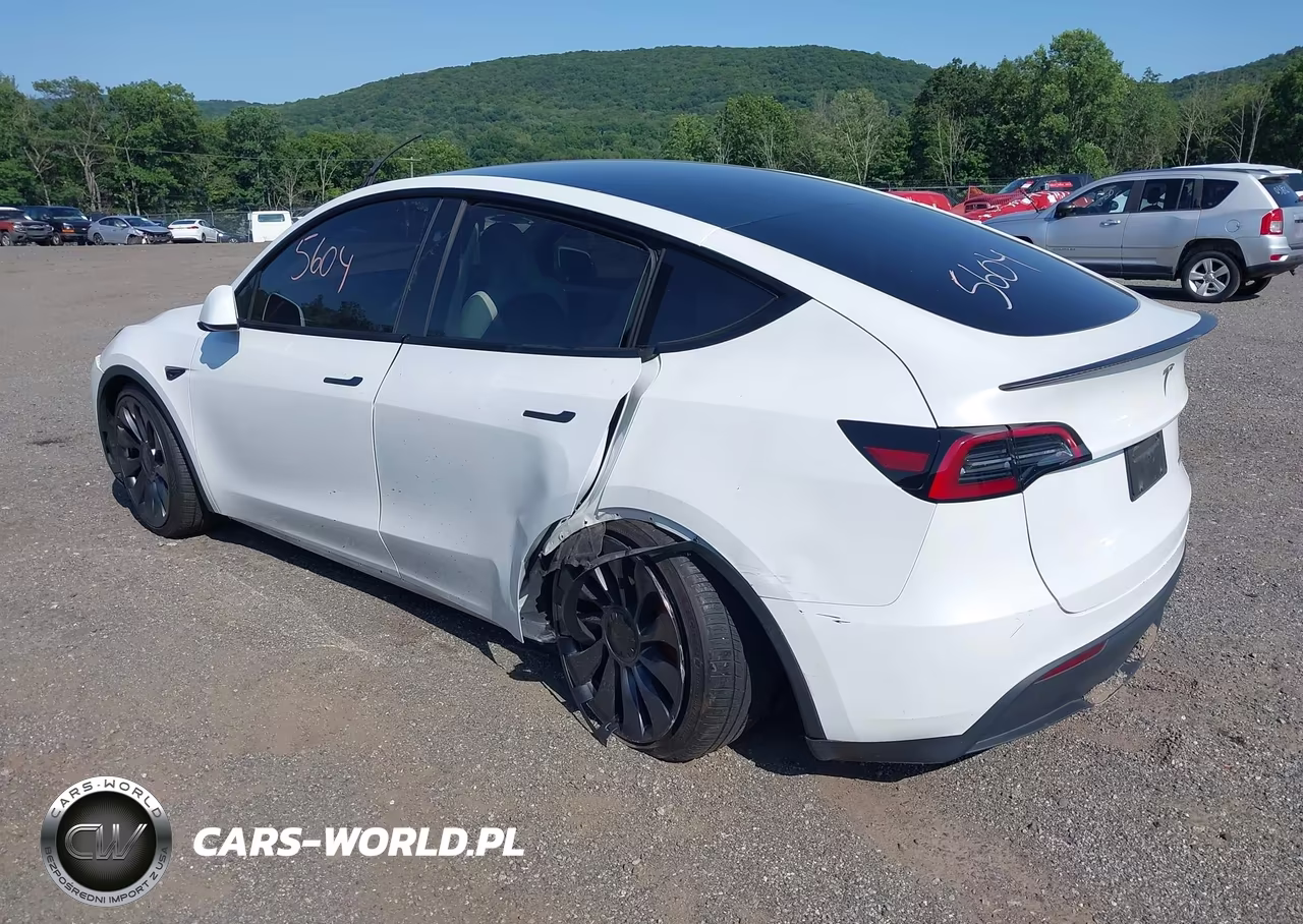2024 Tesla Model Y Performance Dual Motor All-Wheel Drive VIN:7SAYGDEF3RA268560 - 3