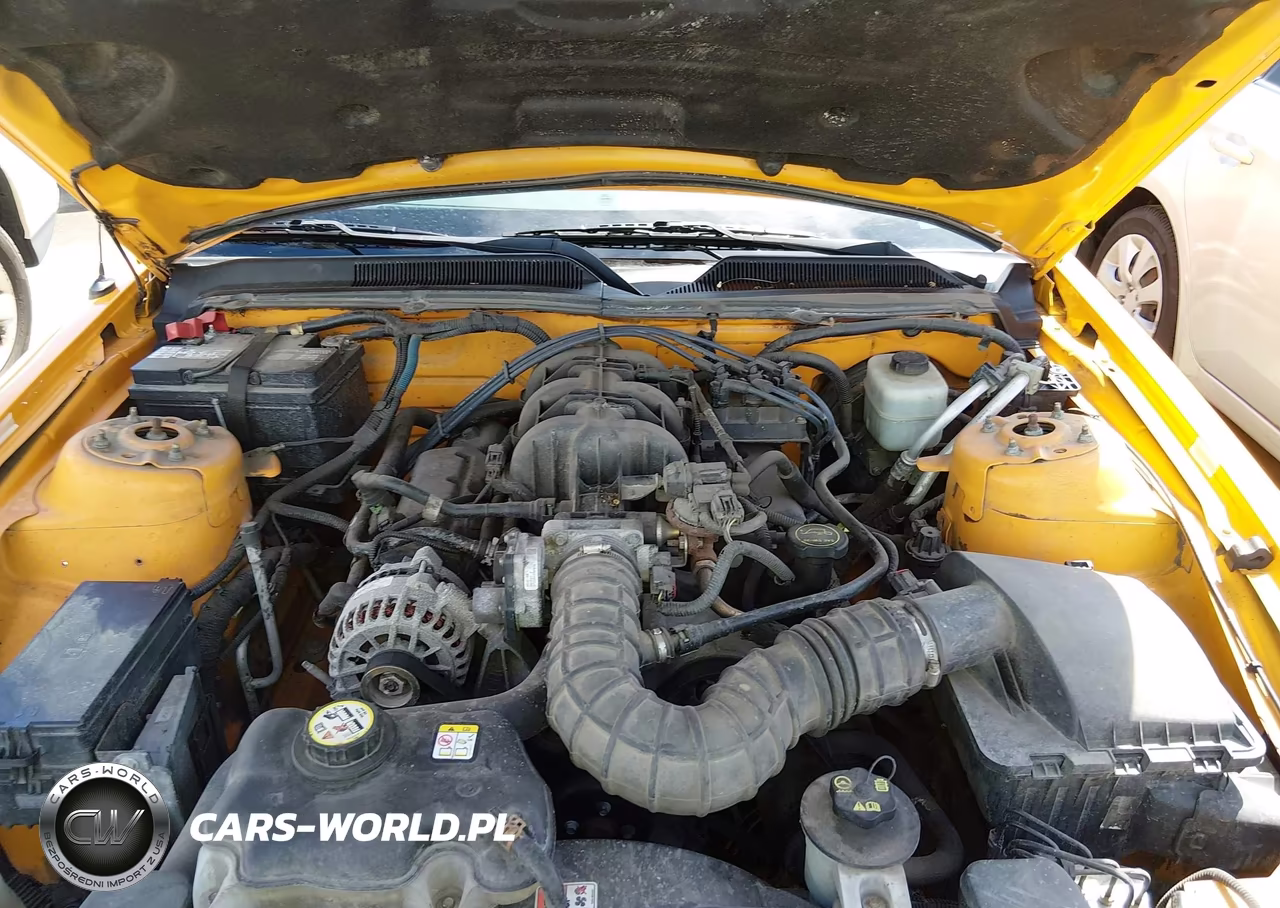 2008 Ford Mustang V6 Deluxe-V6 Premium VIN:1ZVHT80N485166408 - 10