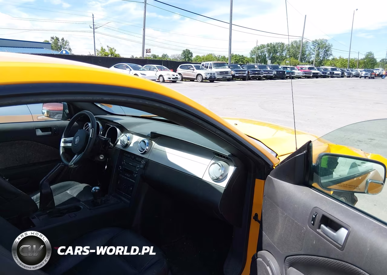 2008 Ford Mustang V6 Deluxe-V6 Premium VIN:1ZVHT80N485166408 - 5
