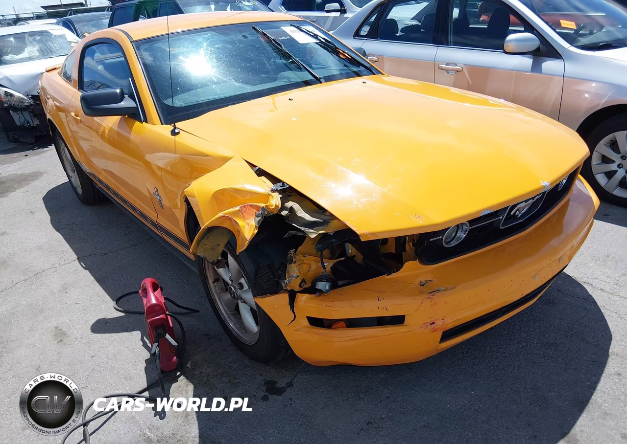 2008 Ford Mustang V6 Deluxe-V6 Premium VIN:1ZVHT80N485166408 - 6