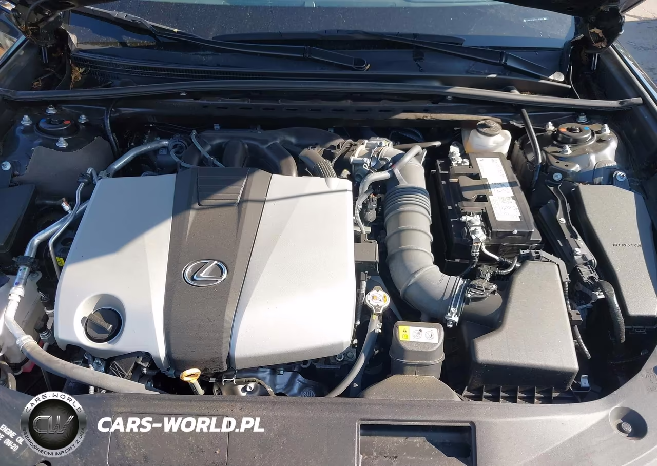 2024 Lexus Es 350 VIN:58ADZ1B14RU180449 - 10
