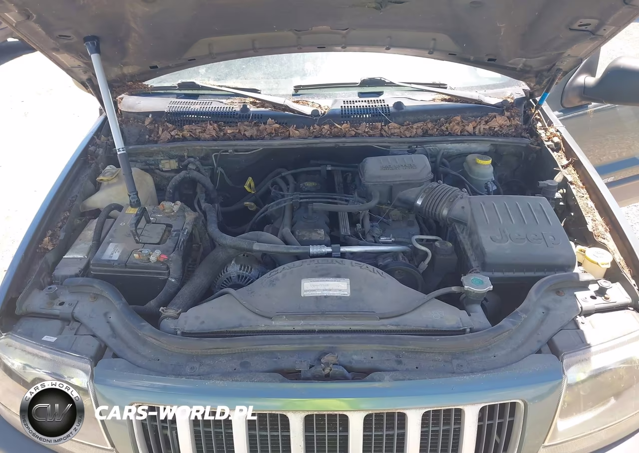 2004 Jeep Grand Cherokee Laredo VIN:1J4GW48S14C131561 - 10