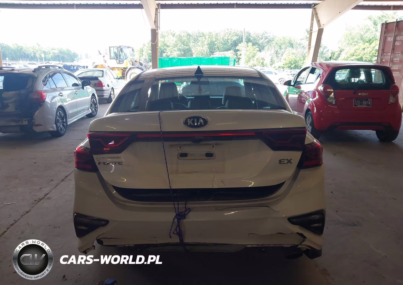 2020 Kia Forte Ex VIN:3KPF54AD7LE224981 - 17