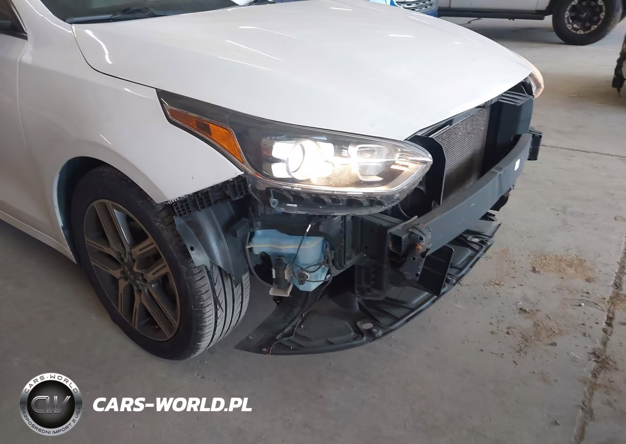 2020 Kia Forte Ex VIN:3KPF54AD7LE224981 - 18