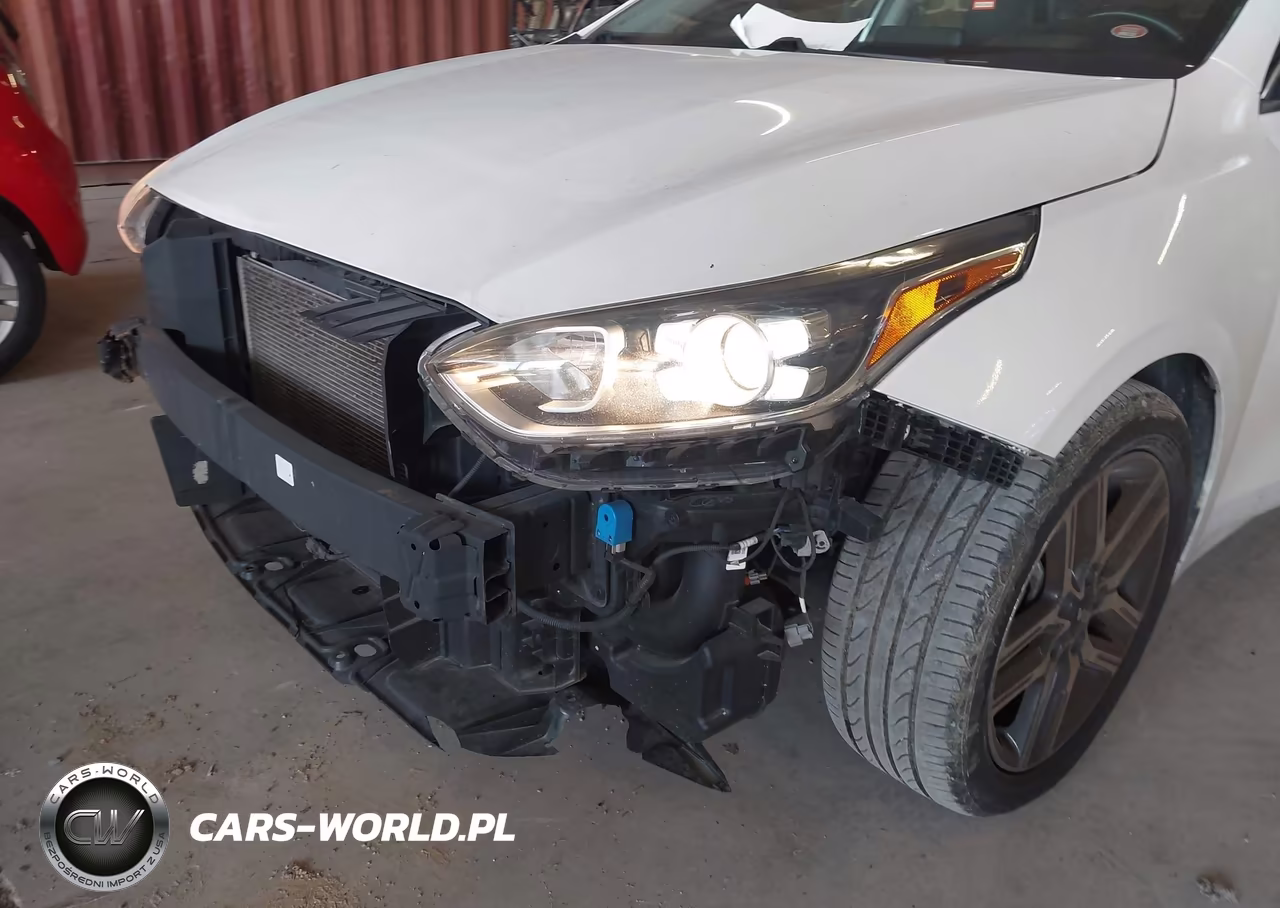 2020 Kia Forte Ex VIN:3KPF54AD7LE224981 - 19