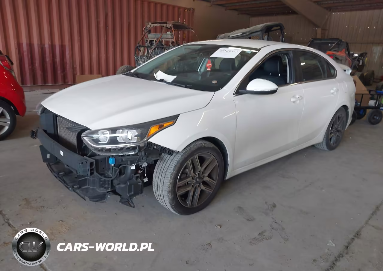 2020 Kia Forte Ex VIN:3KPF54AD7LE224981 - 2