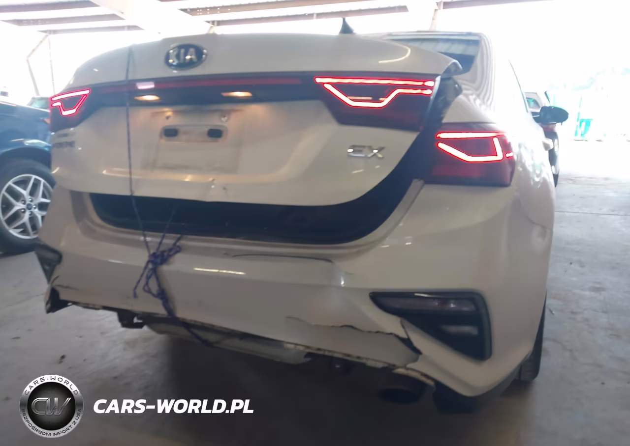 2020 Kia Forte Ex VIN:3KPF54AD7LE224981 - 21
