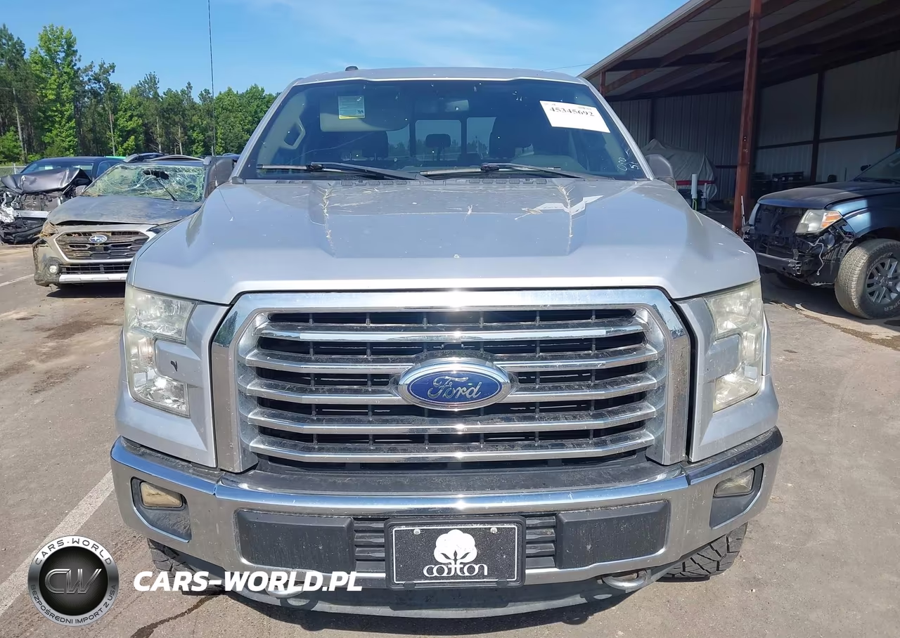 2015 Ford F-150 Xlt VIN:1FTEW1EF4FFA96373 - 12