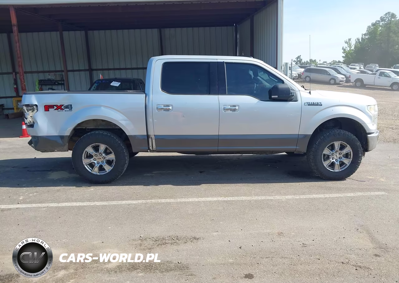 2015 Ford F-150 Xlt VIN:1FTEW1EF4FFA96373 - 13