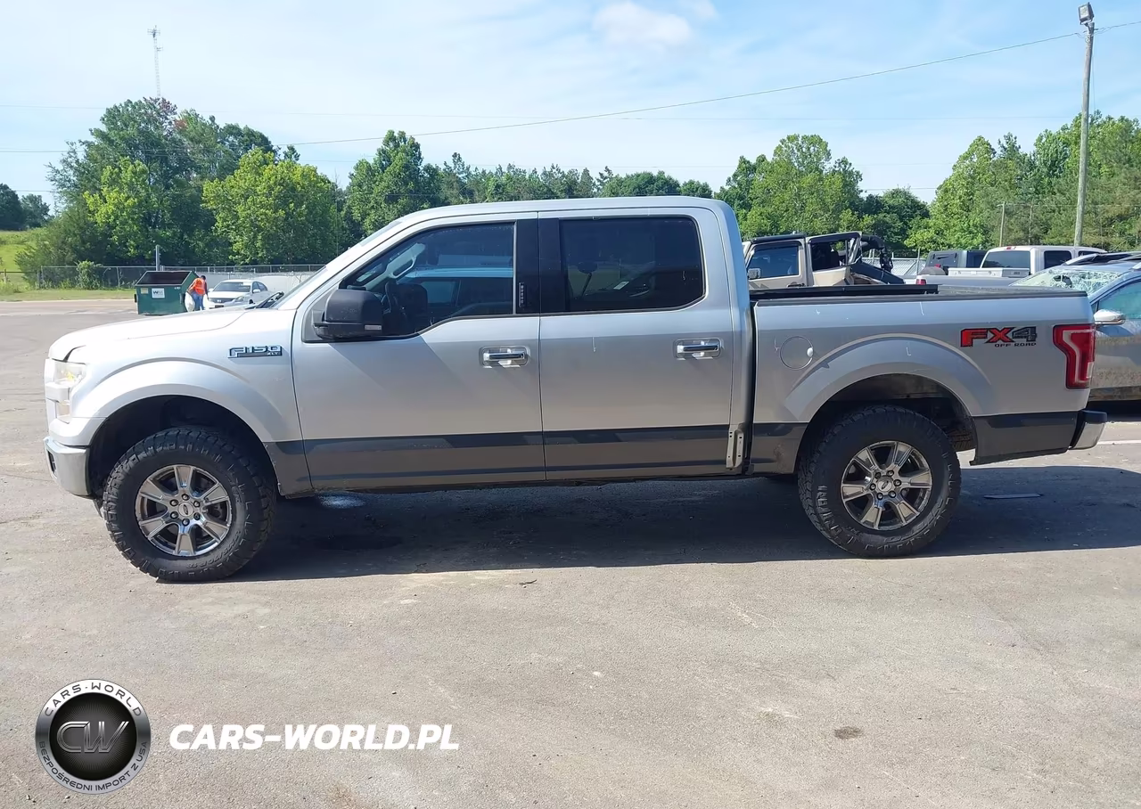 2015 Ford F-150 Xlt VIN:1FTEW1EF4FFA96373 - 14