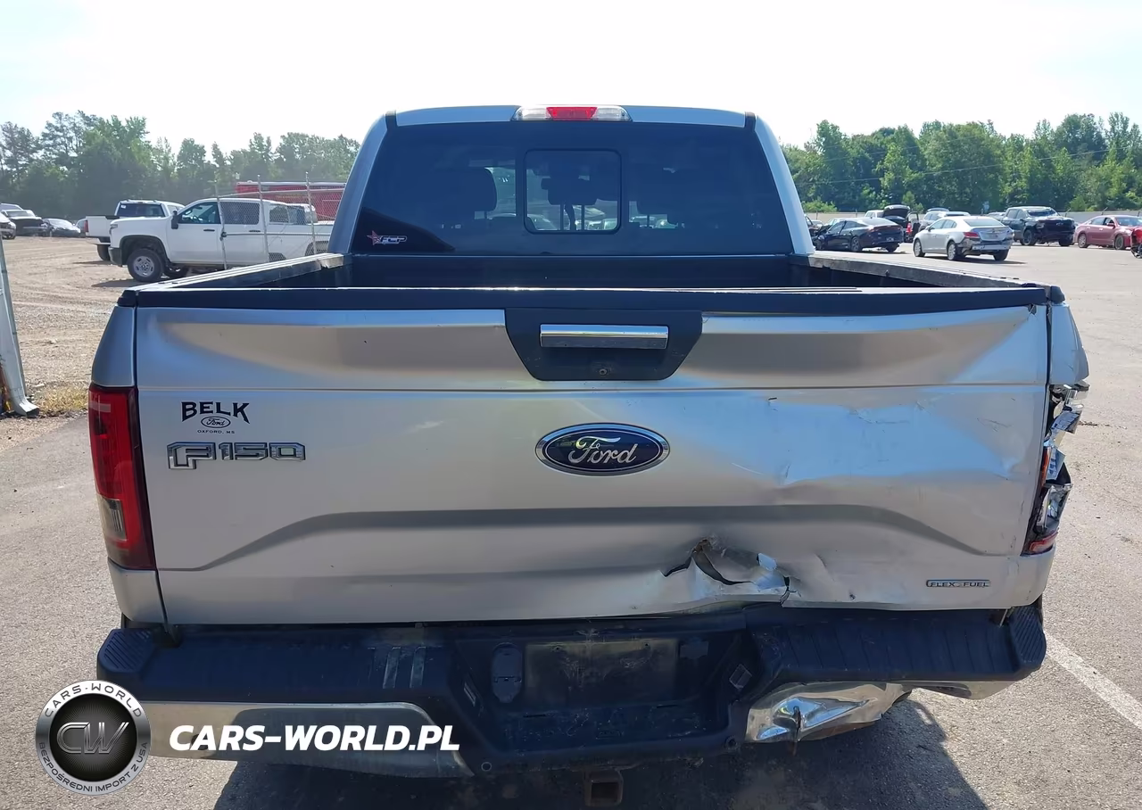 2015 Ford F-150 Xlt VIN:1FTEW1EF4FFA96373 - 16