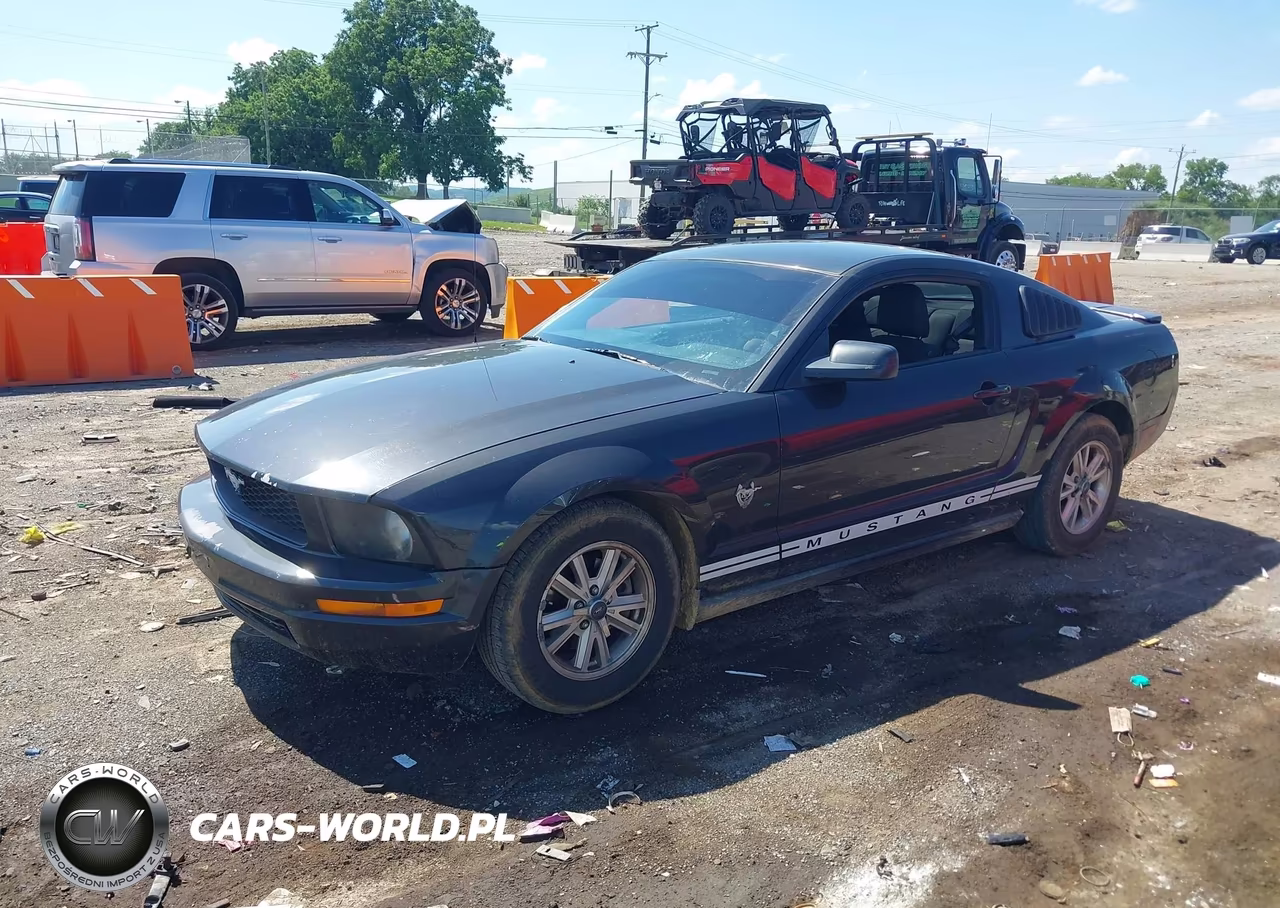 2009 Ford Mustang V6-V6 Premium VIN:1ZVHT80N895141500 - 2