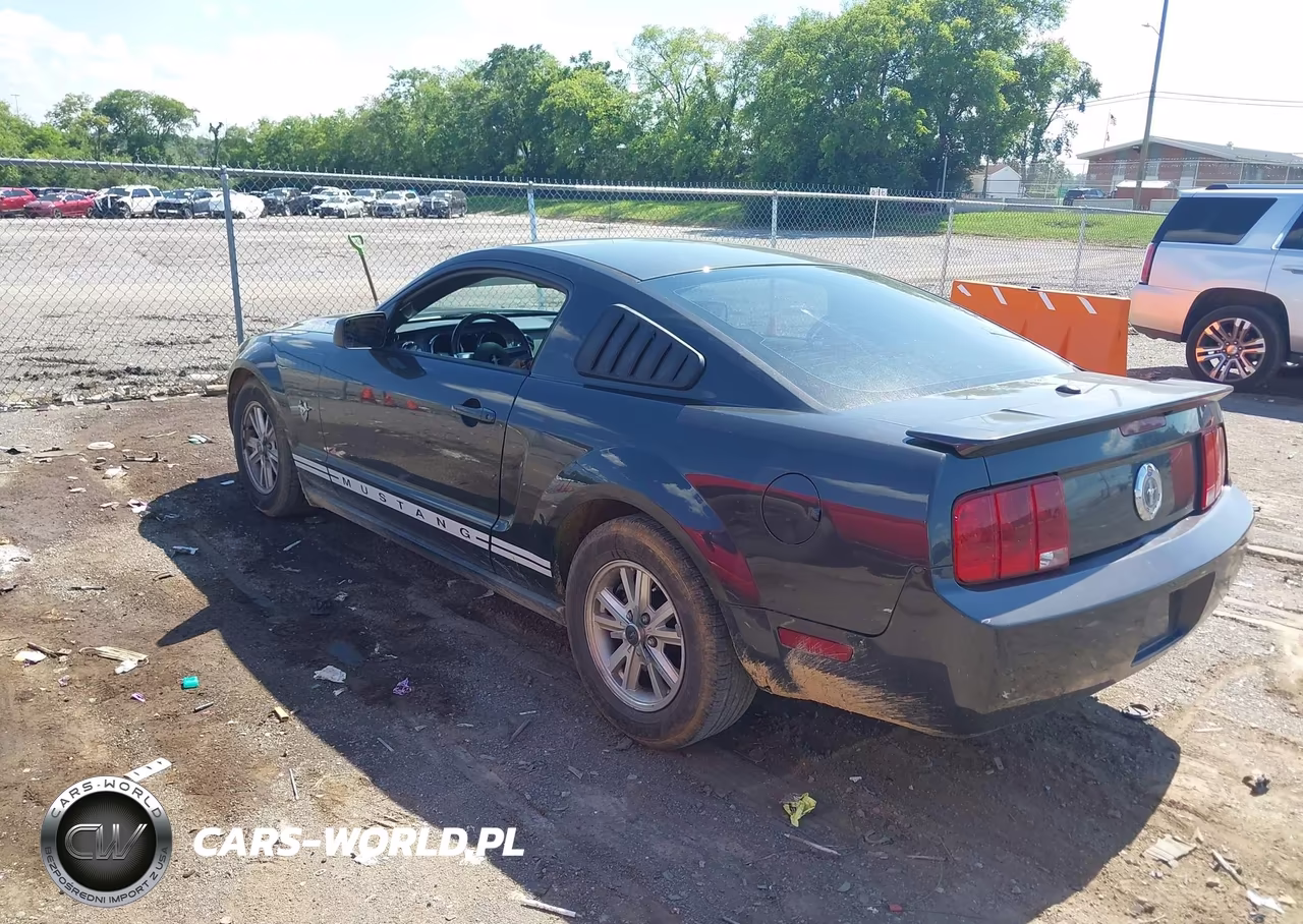 2009 Ford Mustang V6-V6 Premium VIN:1ZVHT80N895141500 - 3