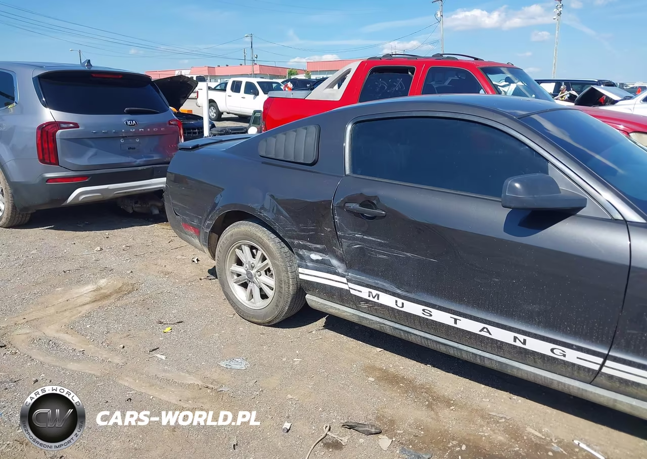 2009 Ford Mustang V6-V6 Premium VIN:1ZVHT80N895141500 - 6