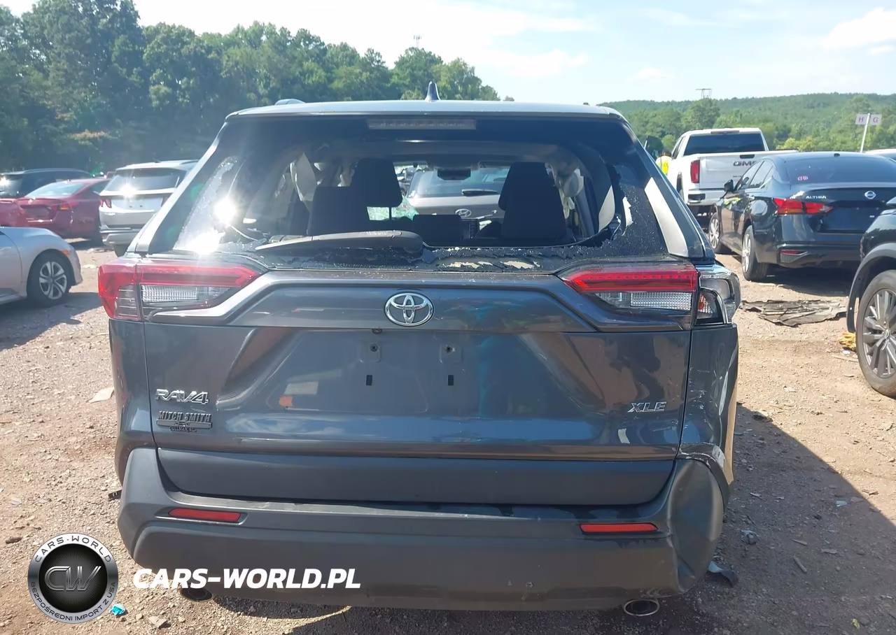 2019 Toyota Rav4 Xle VIN:JTMW1RFV2KD019949 - 17