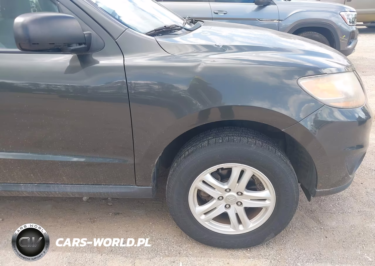2010 Hyundai Santa Fe Gls VIN:5NMSG3AB3AH333624 - 12
