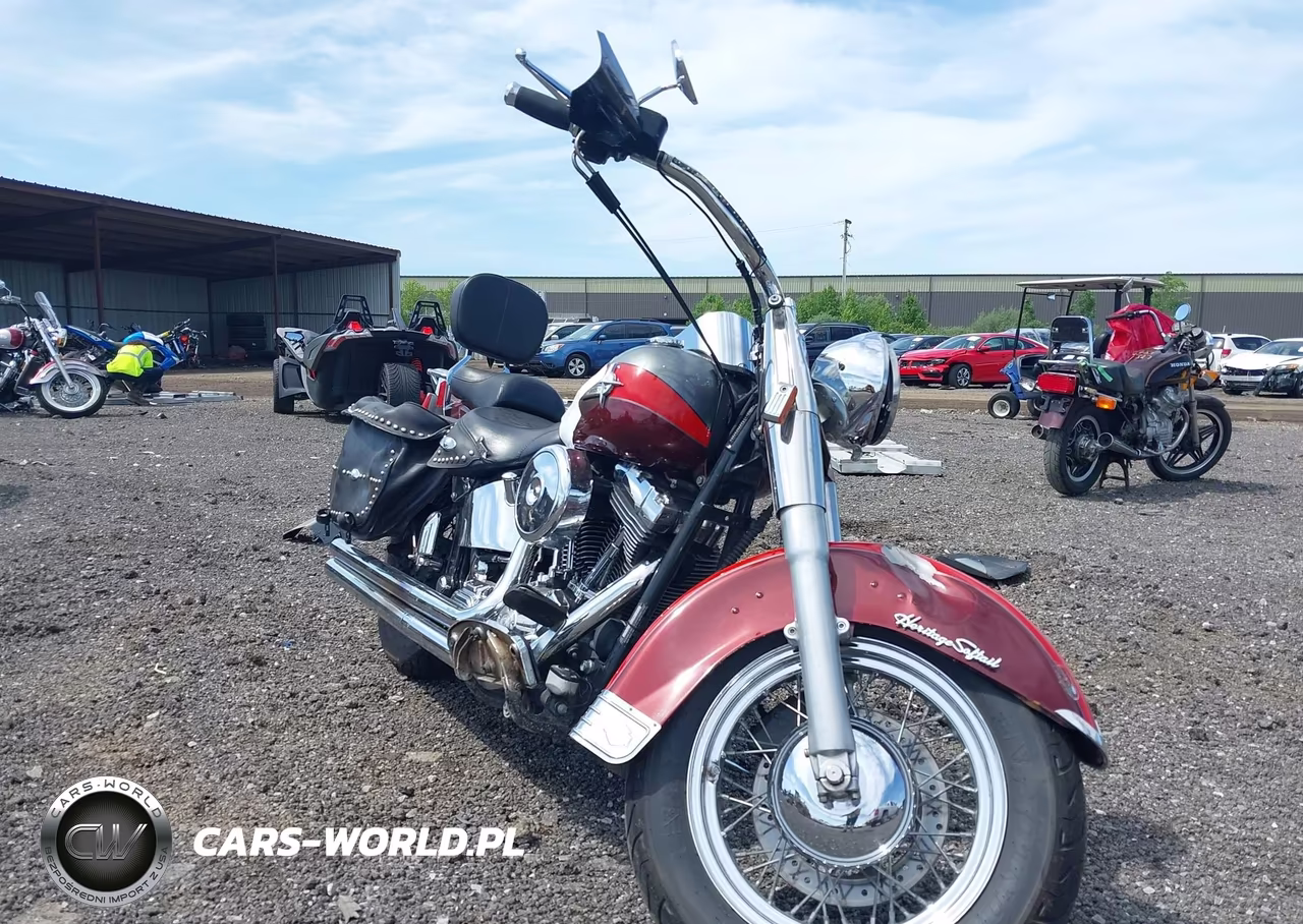 2001 Harley-Davidson Flstci