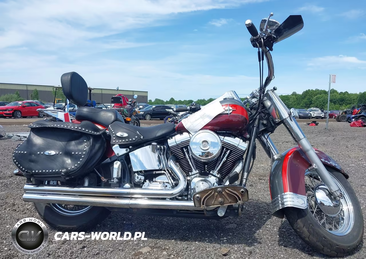 2001 Harley-Davidson Flstci VIN:1HD1BWB111Y075752 - 11