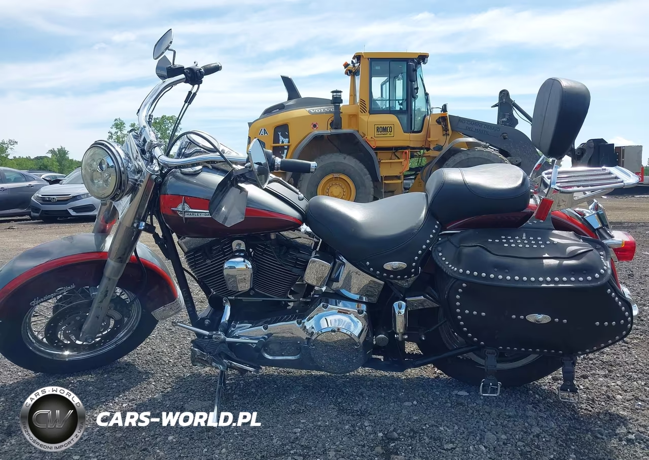 2001 Harley-Davidson Flstci VIN:1HD1BWB111Y075752 - 12