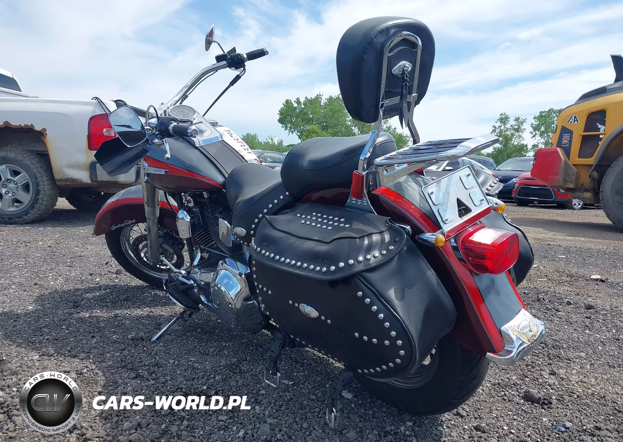 2001 Harley-Davidson Flstci VIN:1HD1BWB111Y075752 - 3