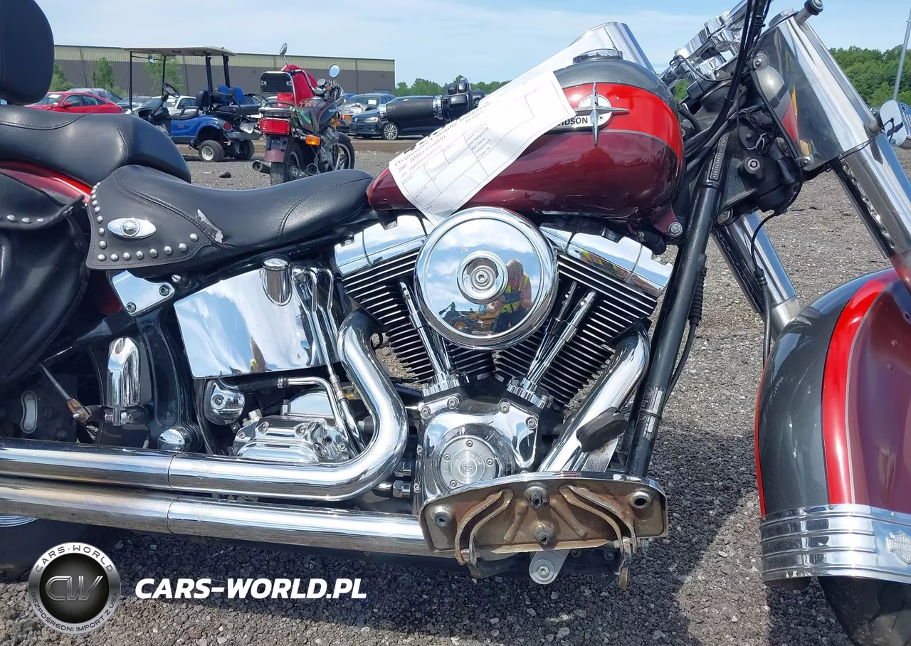 2001 Harley-Davidson Flstci VIN:1HD1BWB111Y075752 - 8