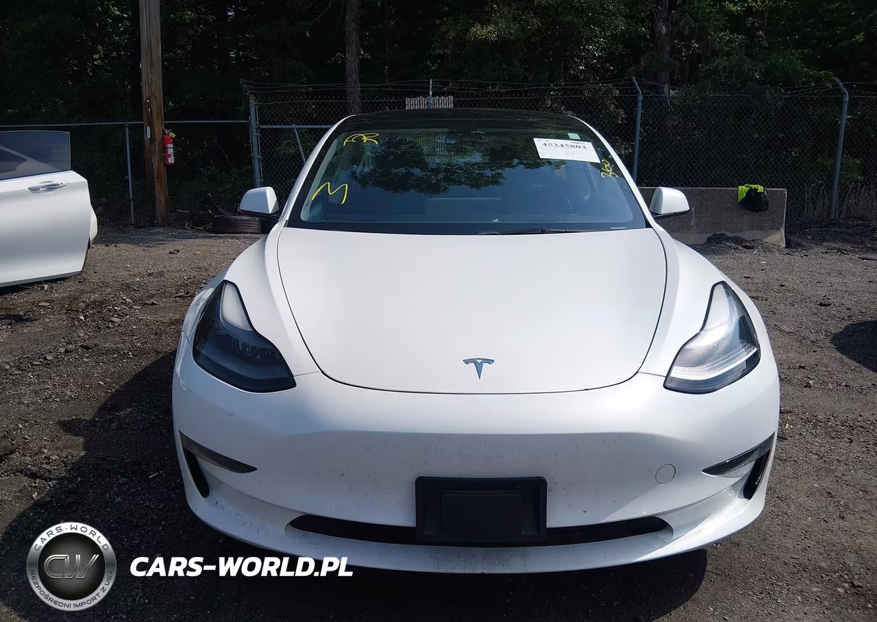 2023 Tesla Model 3 Rear-Wheel Drive VIN:5YJ3E1EAXPF499911 - 12