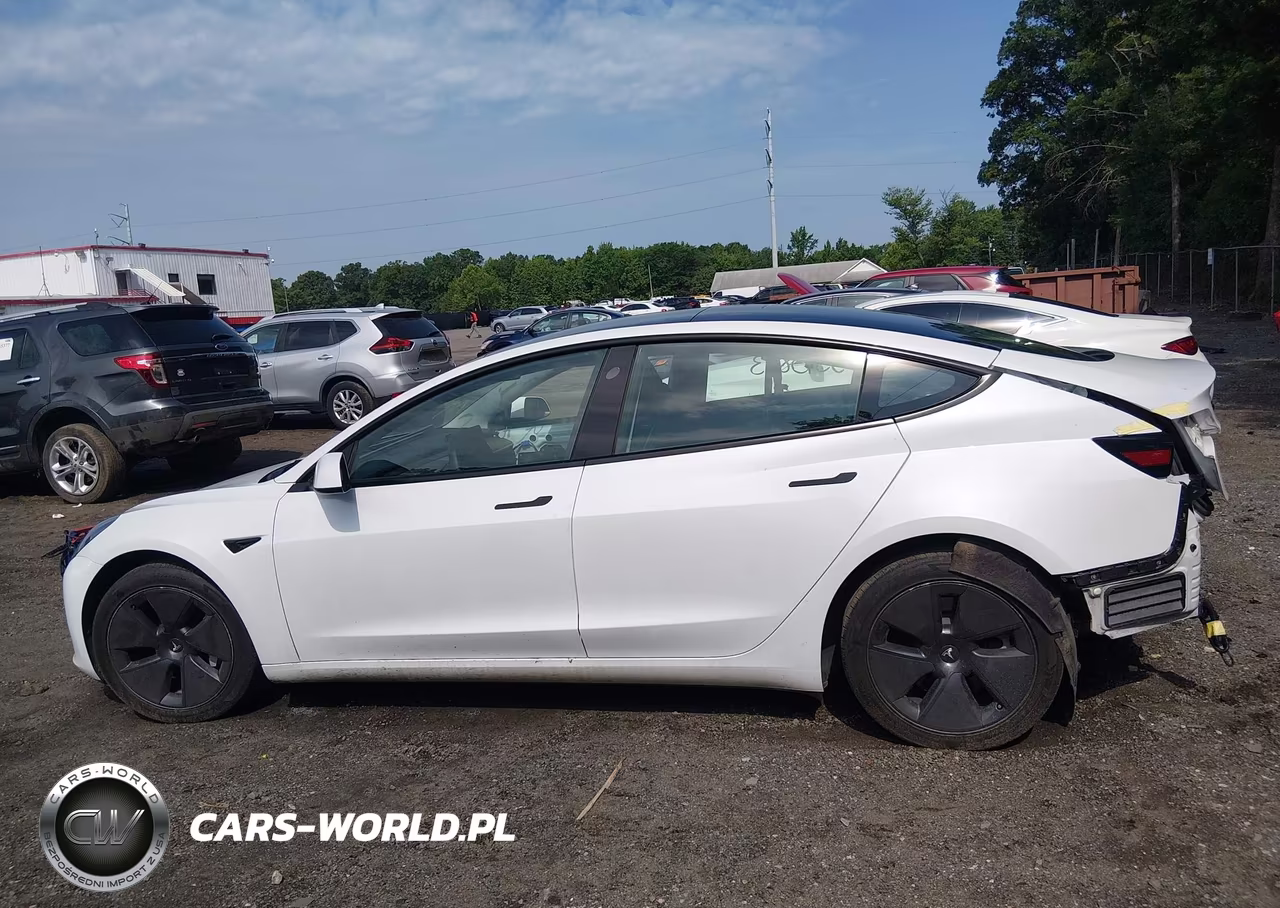 2023 Tesla Model 3 Rear-Wheel Drive VIN:5YJ3E1EAXPF499911 - 14