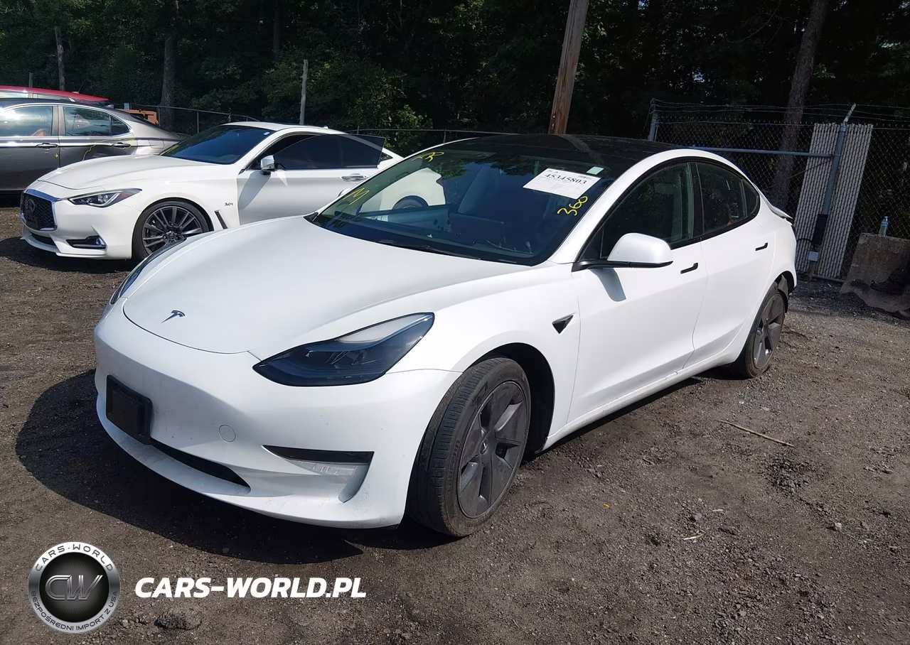 2023 Tesla Model 3 Rear-Wheel Drive VIN:5YJ3E1EAXPF499911 - 2