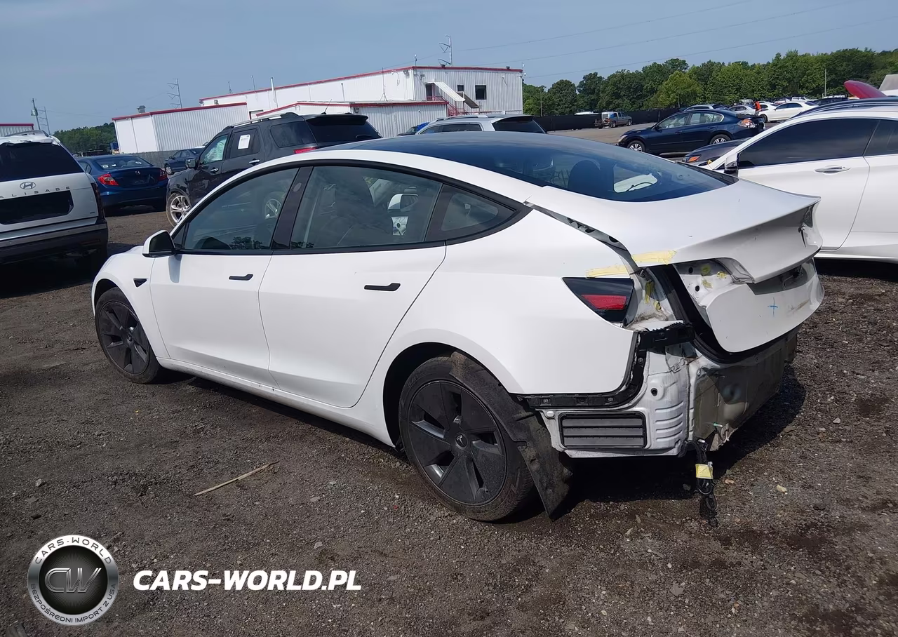 2023 Tesla Model 3 Rear-Wheel Drive VIN:5YJ3E1EAXPF499911 - 3
