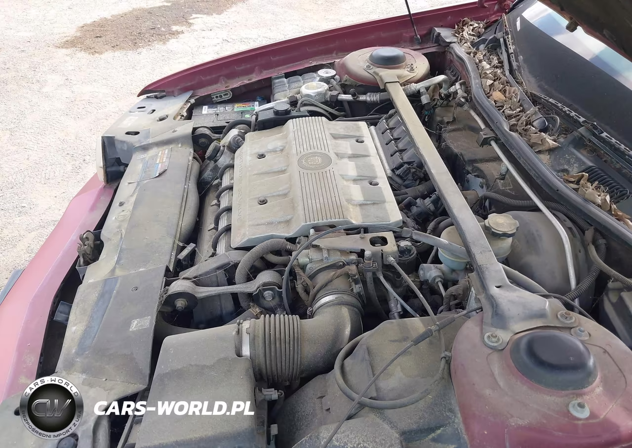 1997 Cadillac Deville Standard VIN:1G6KD54YXVU268406 - 10
