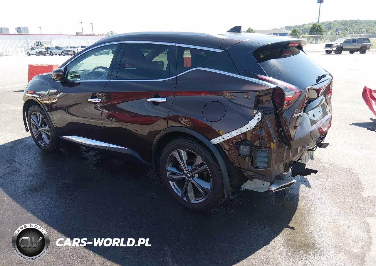 2019 Nissan Murano Platinum VIN:5N1AZ2MSXKN107141 - 3