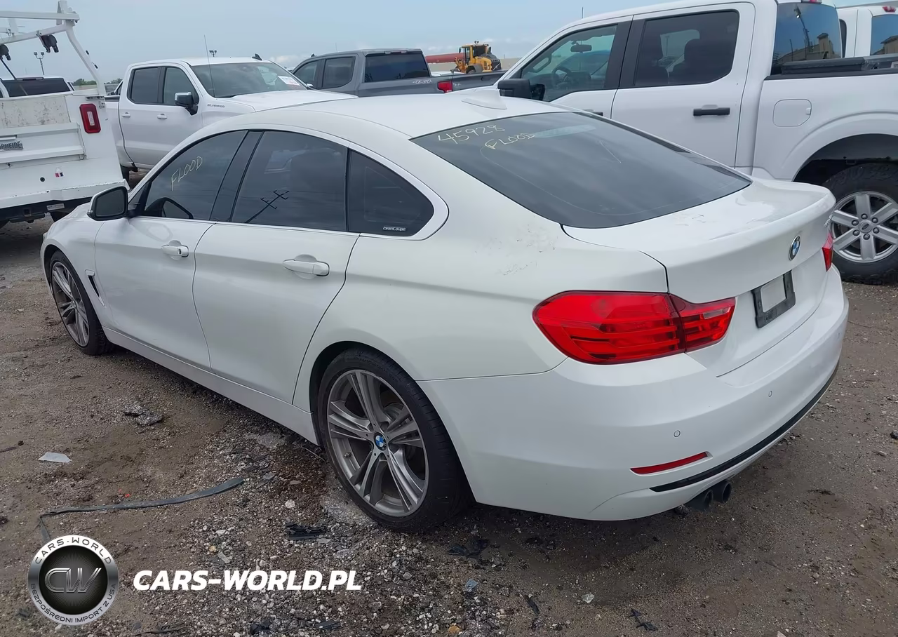 2016 BMW 428I Gran Coupe VIN:WBA4A9C57GG696154 - 3