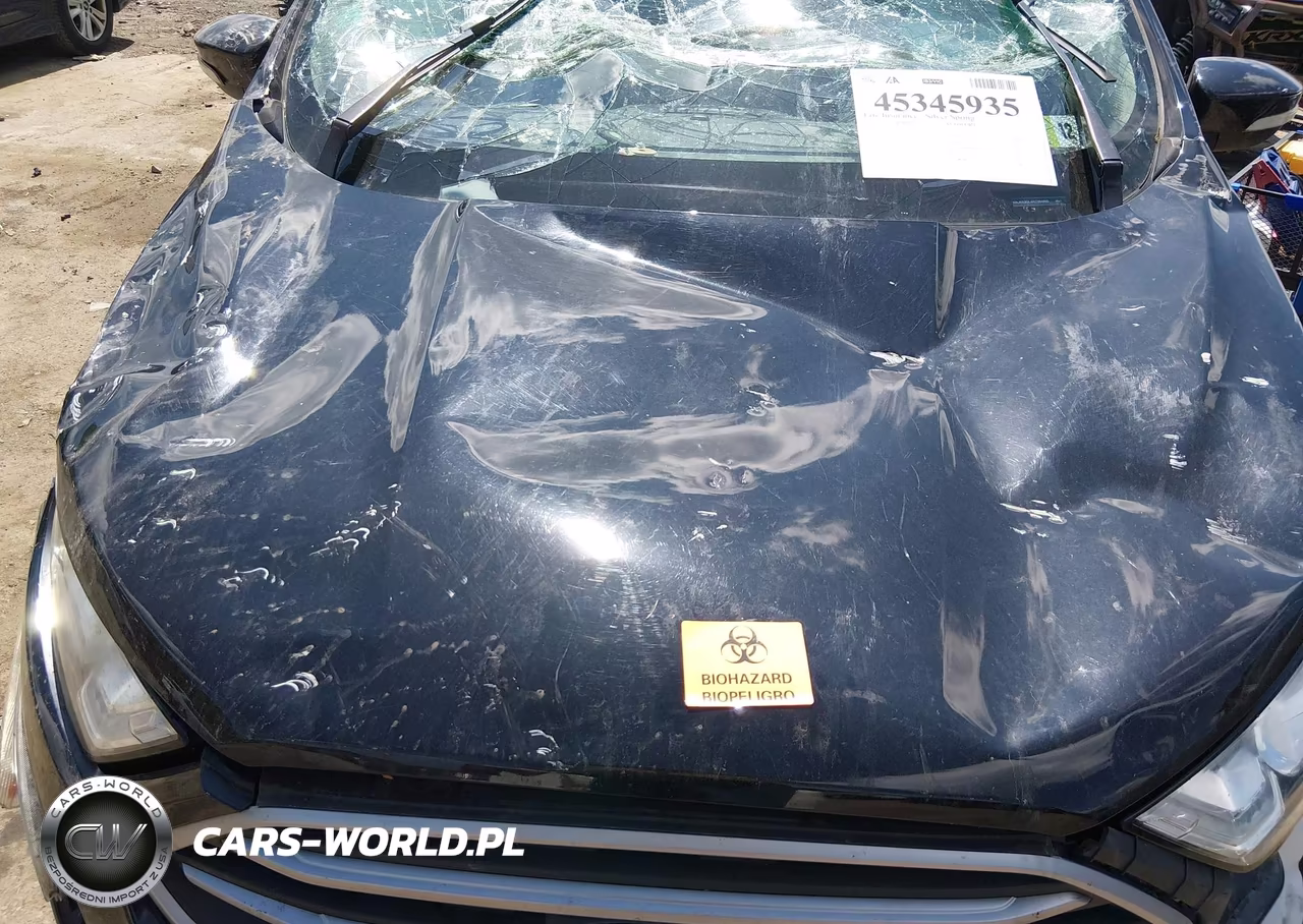 2019 Ford Ecosport Se VIN:MAJ6S3GL4KC304865 - 10