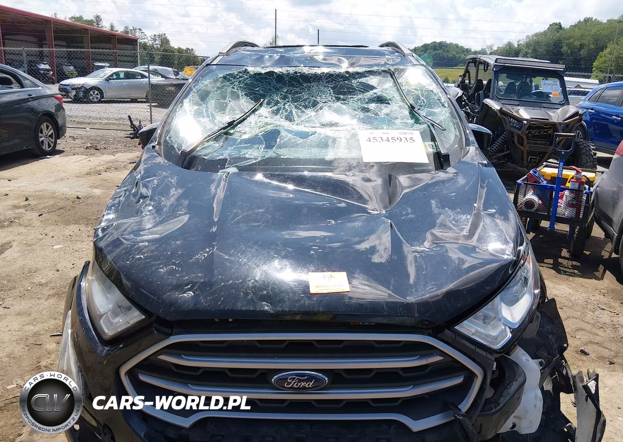 2019 Ford Ecosport Se VIN:MAJ6S3GL4KC304865 - 11