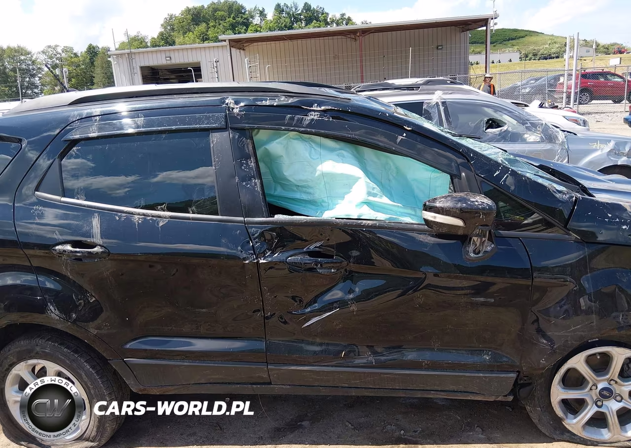 2019 Ford Ecosport Se VIN:MAJ6S3GL4KC304865 - 12