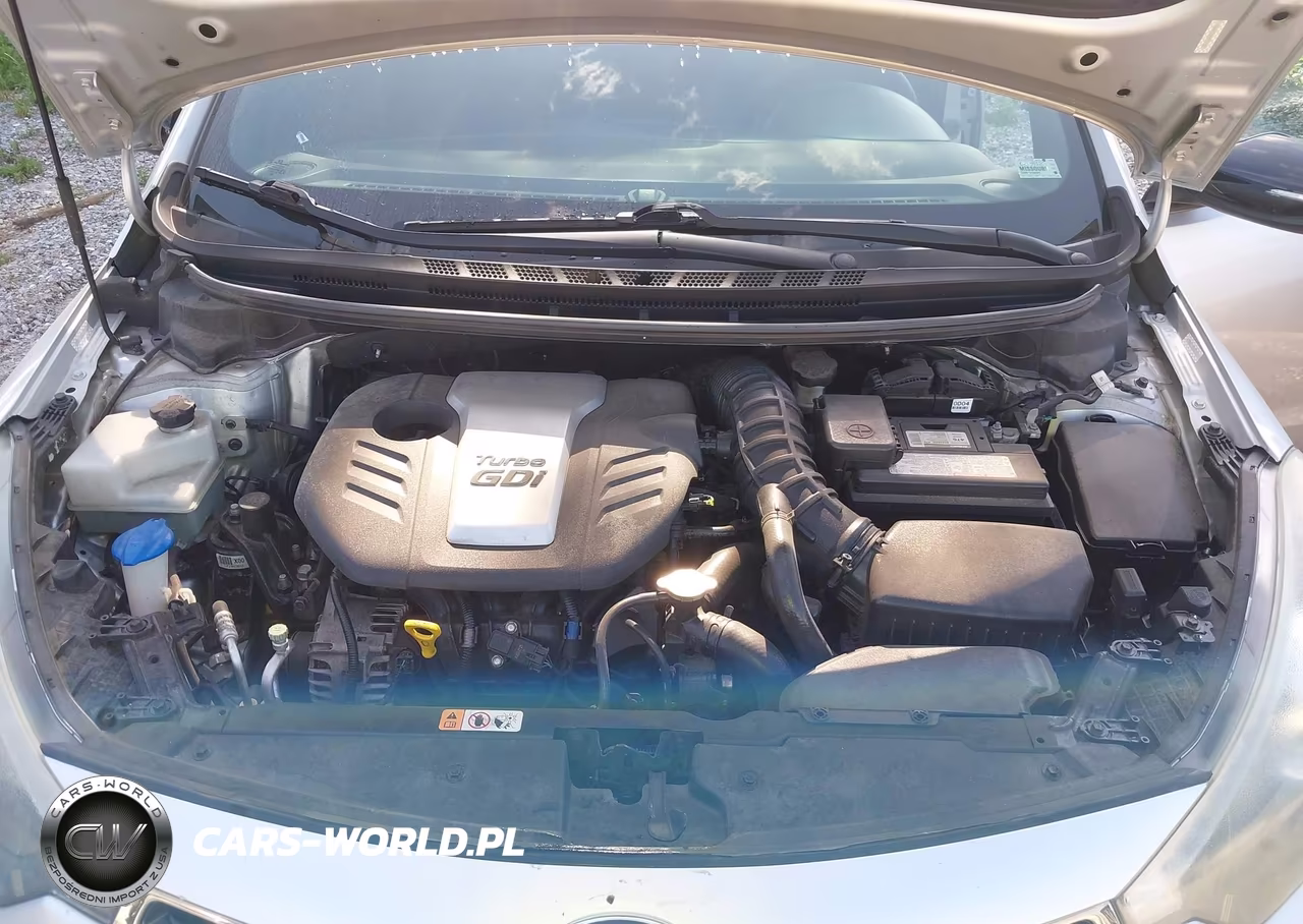 2015 Kia Forte Sx VIN:KNAFZ5A36F5294762 - 10