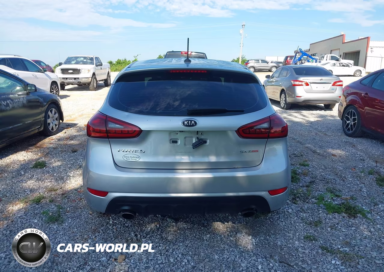 2015 Kia Forte Sx VIN:KNAFZ5A36F5294762 - 16