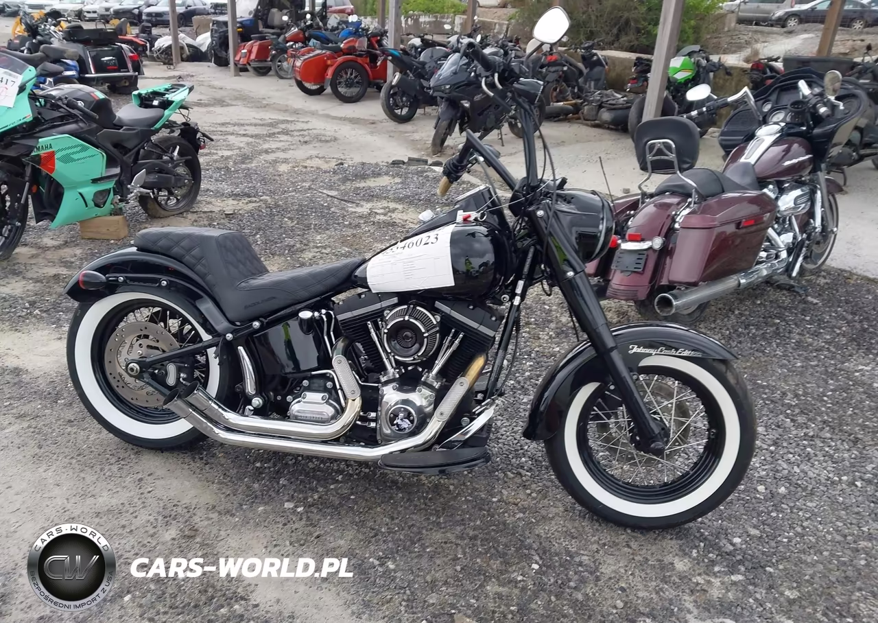 2013 Harley-Davidson Fls Softail Slim VIN:1HD1JRV17DB049986 - 12