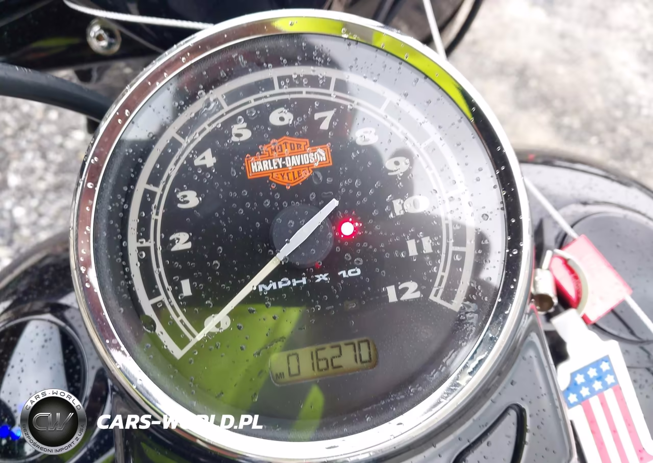 2013 Harley-Davidson Fls Softail Slim VIN:1HD1JRV17DB049986 - 7