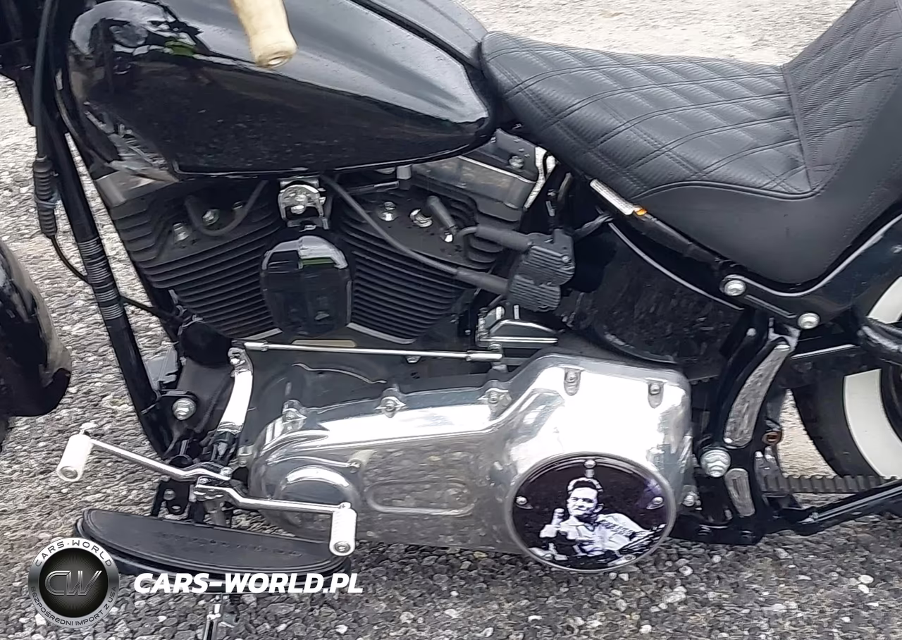 2013 Harley-Davidson Fls Softail Slim VIN:1HD1JRV17DB049986 - 9