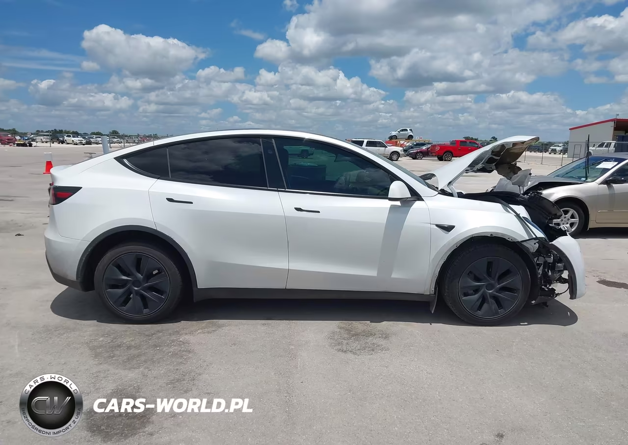 2025 Tesla Model Y Long Range Dual Motor All-Wheel Drive VIN:7SAYGDEEXSA353134 - 13
