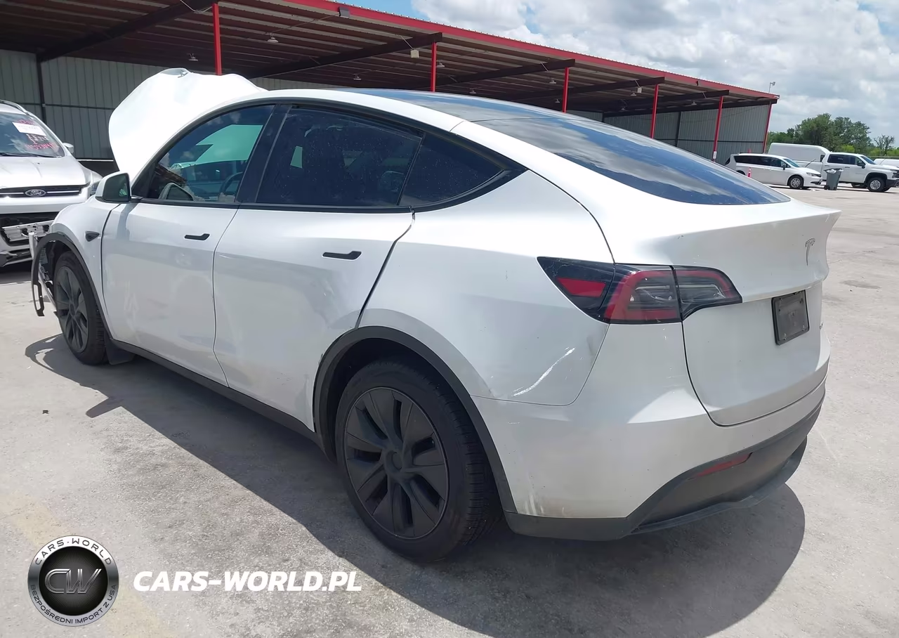 2025 Tesla Model Y Long Range Dual Motor All-Wheel Drive VIN:7SAYGDEEXSA353134 - 3
