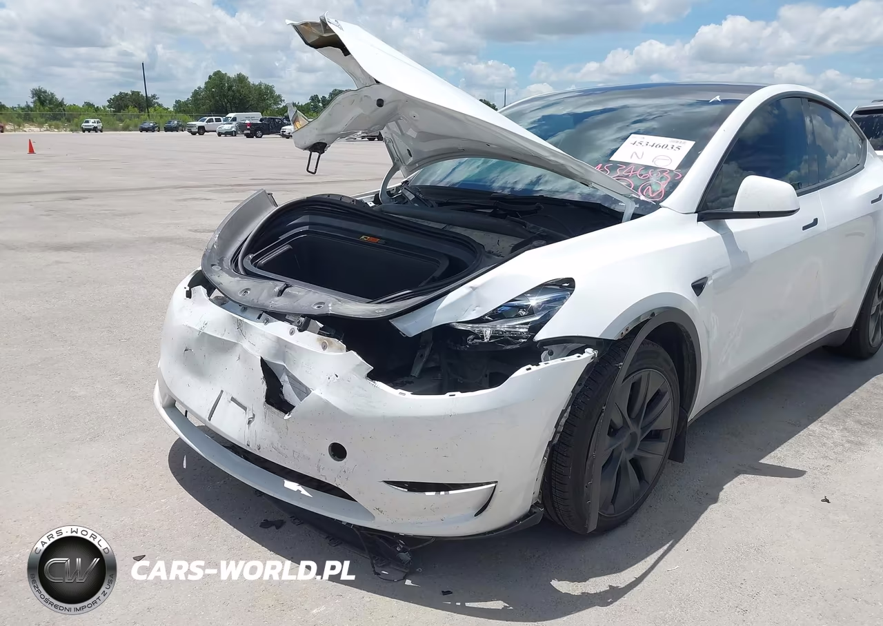 2025 Tesla Model Y Long Range Dual Motor All-Wheel Drive VIN:7SAYGDEEXSA353134 - 6