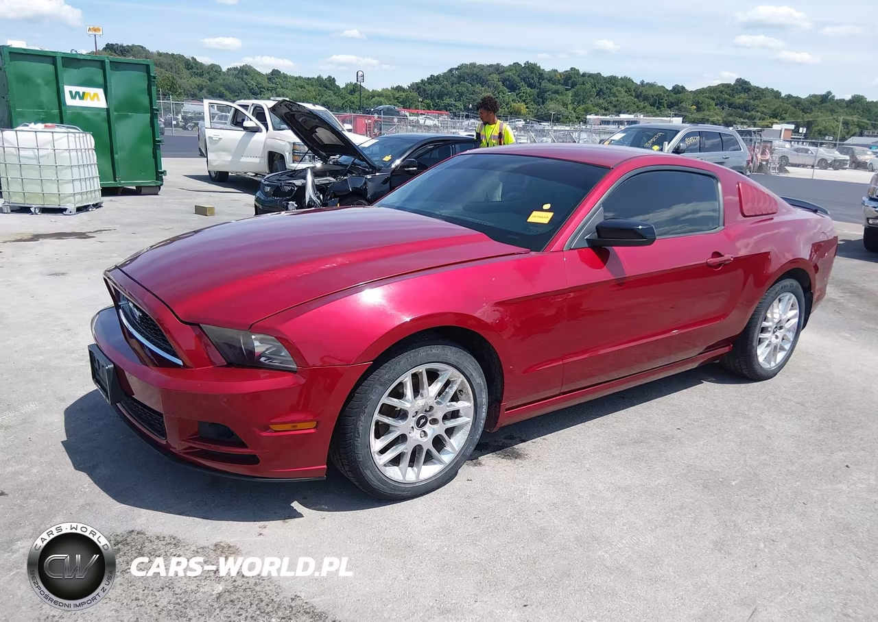2014 Ford Mustang V6 VIN:1ZVBP8AM9E5327234 - 2